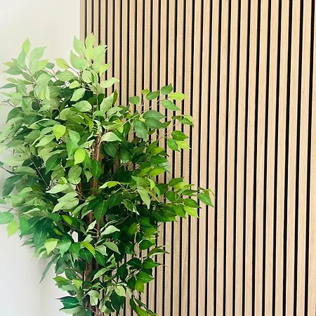 Sol Ferragudo (Faro)